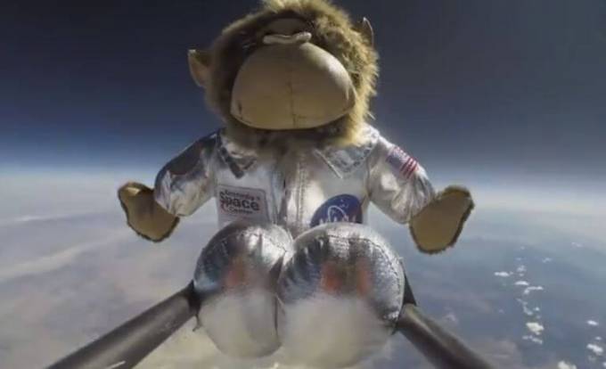 Супружеская пара отметила рождение сына, отправив обезьяну в космос. (Видео)