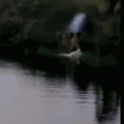 ШОКИРУЮЩИЙ КОНТЕНТ ! Момент гибели троих малолетних детей, утонувших в пруду, попал на видеокамеру в Китае. 1