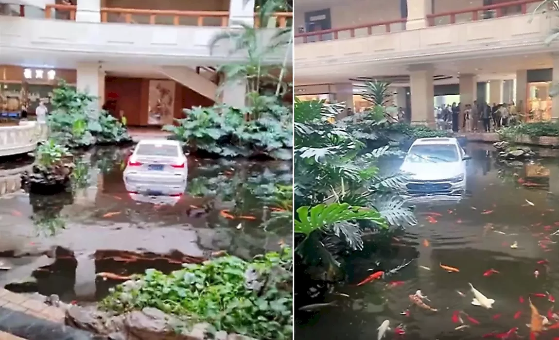 Автомобиль разбил стеклянные двери и заехал в пруд шикарного отеля