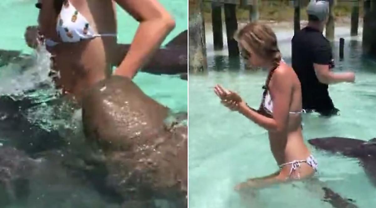 Акула укусила беспечную туристку, забравшуюся в водоём, чтобы «обменяться энергией» с ней