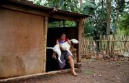 Смертельные побоища между собаками и кабанами были организованы в Индонезии. (Видео) 10