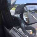 Необычный «пассажир» прокатился на боковом зеркале автомобиля в Австралии 1
