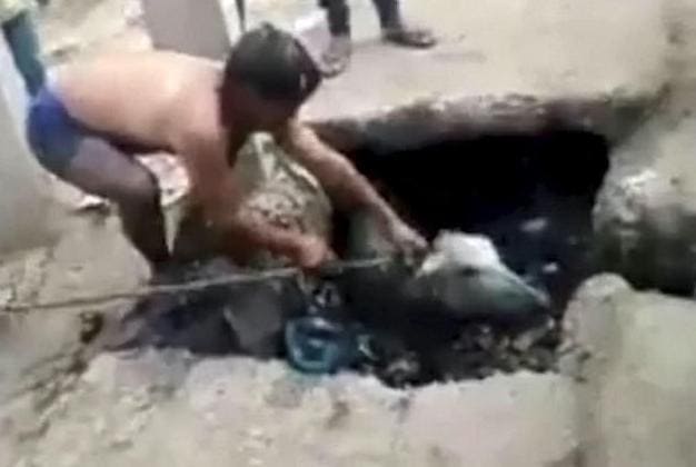 Случайный прохожий нырнул в канализацию и спас тонущего телёнка в Индии (Видео)