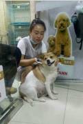 Любители животных испытали «разочарование», когда спасли «беременную» бродячую собаку в Китае (Видео) 4