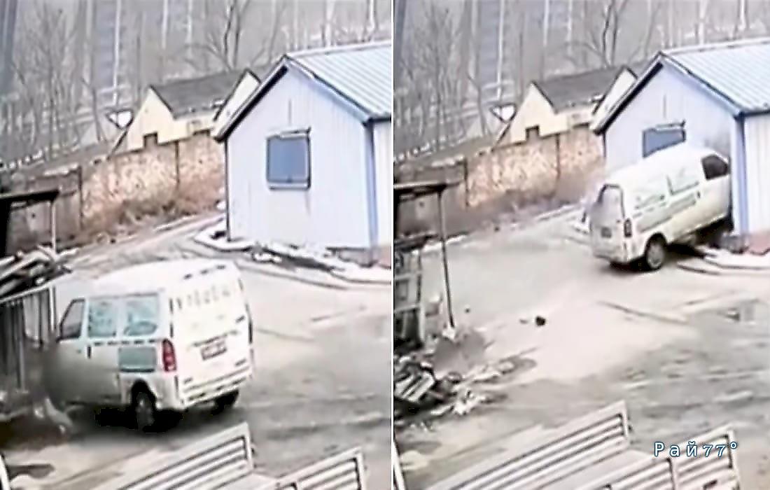 Пёс пережил наезд фургона, «припарковавшегося» в сарае: видео
