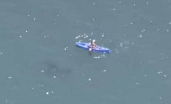 Белая акула, проплывшая под байдарочником, была снята с вертолёта в Калифорнии (Видео)