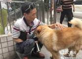 Преданный пёс, по 12 часов дожидающийся своего хозяина на вокзале, стал национальным героем в Китае 4