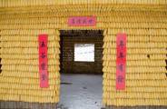 Китайский фермер построил хижину из 30000 кукурузных початков. (Видео) 3