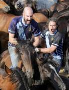 Тысячи испанцев приняли участие в массовой «объездке» диких лошадей в Галисии. (Видео) 28