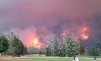 Любители гольфа продолжили игру, несмотря на надвигающуюся огненную стихию, охватившую лес 2