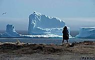 Огромный айсберг стал новой достопримечательностью Ньюфаундленда (Видео) 0