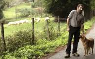 Слепая овчарка заняла пятое место на конкурсе пастушьих собак в Испании (Видео) 2