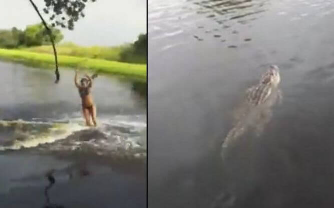 Маленькая американка чуть не оседлала аллигатора во Флориде (Видео)