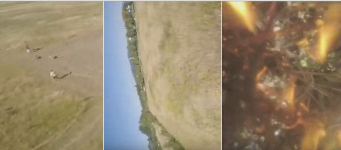 Летающий дрон снял своё крушение по вине игривых собак, напавших на пилота (Видео)