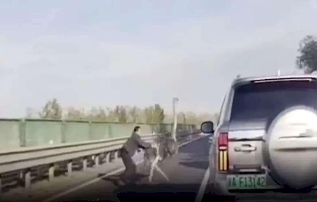 Сбежавший страус не дался в руки владельца на китайской магистрали: видео