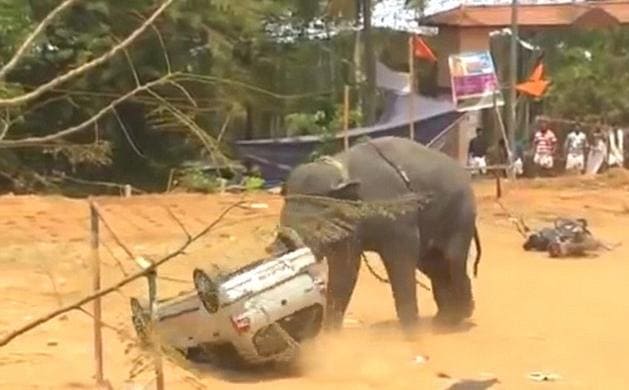 Разъярённый слон перевернул легковой автомобиль на фестивале в Индии