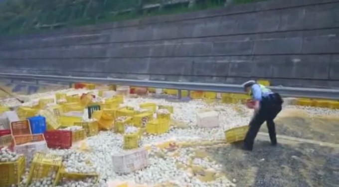 Тысячи утиных яиц оказались на автотрассе в результате ДТП в Китае (Видео)