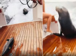 Разборчивый морской лев запрыгнул в лодку к рыбакам и попал на видео в Мексике