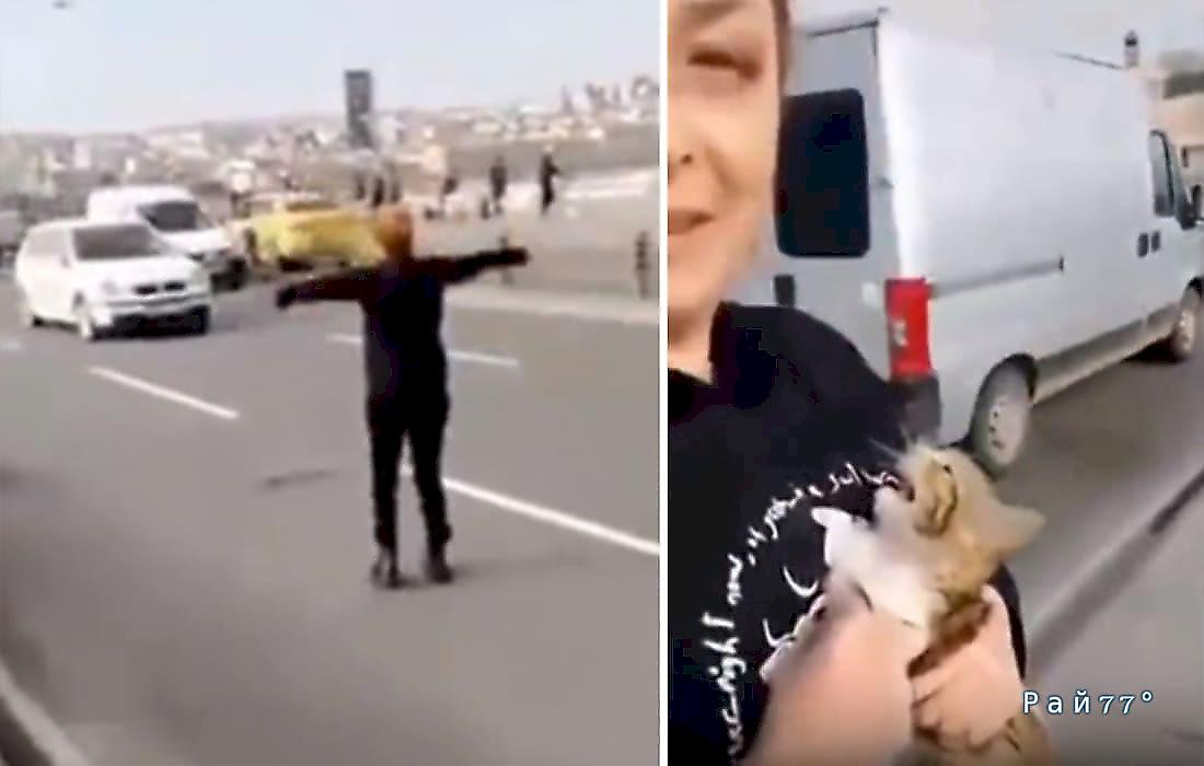 Женщина, рискуя жизнью, остановила движение транспорта и спасла котёнка: видео
