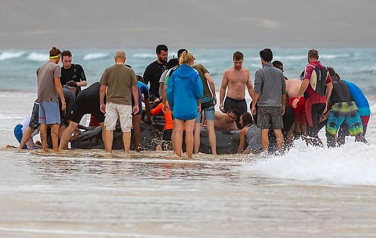 Акулы дождались, когда туристы спасут выброшенного на берег дельфина в Кабо-Верде