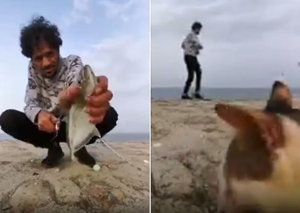 Рыбак снял на видео похищение рыбы в исполнении вороватого кота