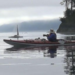Две косатки устроили охоту на лосося под лодками туристов у побережья Канады (Видео)