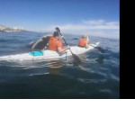 Любопытный кит вынырнул рядом с лодкой туристов у побережья Кейптауна ▶
