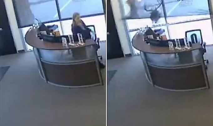 Работница офиса вовремя освободила своё место, после чего олень занял его (Видео)