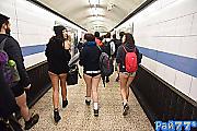 Более ста человек приняли участие во всемирном «дне без штанов» в метро Лондона. (Видео) 6
