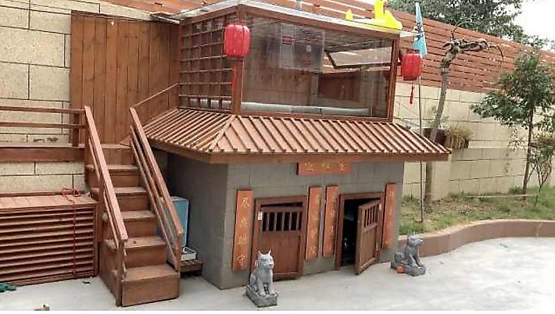 Китаец построил для собак виллу со всеми удобствами ▶
