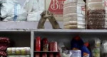 Две крысы, не поделившие продуктовый склад, прославились в сети (Видео)
