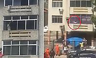 Собака, повисшая на окне 6-го этажа, совершила приземление на брезенте в Бразилии ▶