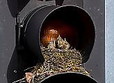 Семейство дроздов свило в светофоре уютное гнездо для своих птенцов 3