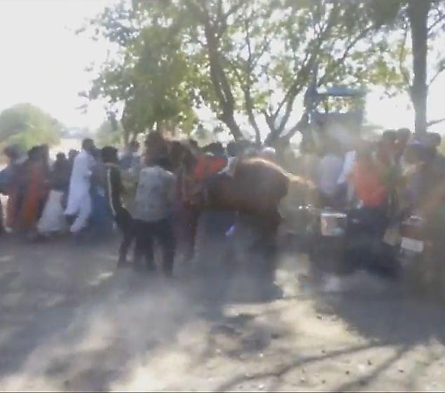 Танцующая лошадь вышла из-под контроля на свадьбе в Индии ▶
