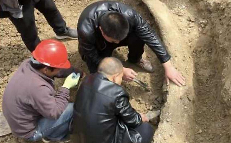 Китайские строители обнаружили 3-метровую кость предка мамонта, возрастом более 100000 лет ▶