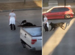 Противостояние девушки и пса, желающего продолжить прогулку, попало на видео в Канаде