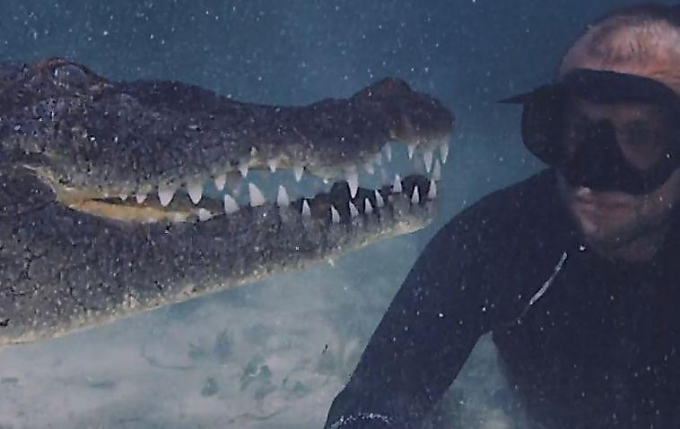 Смелый фридайвер сделал фотосессию с морскими крокодилами (Видео)