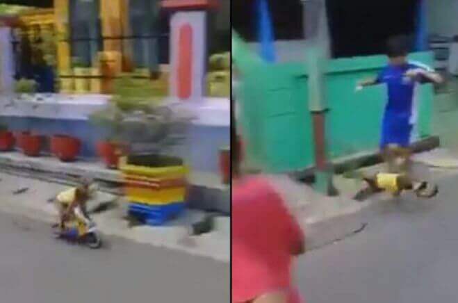 Макака на мини-мотоцикле сбила мальчика в Индонезии (Видео)