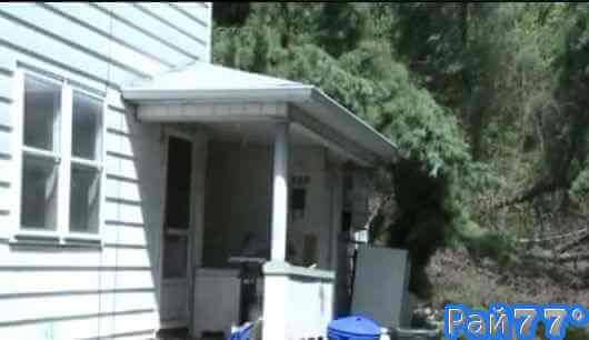 Американец неудачно освободил место под стоянку автомобиля и разрушил своё жилище, срубив дерево на участке у соседа (Видео)