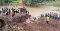 Слон, застрявший в реке в течение 24 часов, был спасен в Таиланде. (Видео) 1
