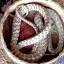 Индийский факир обучает маленьких детей искусству заклинания змей (Видео) 2
