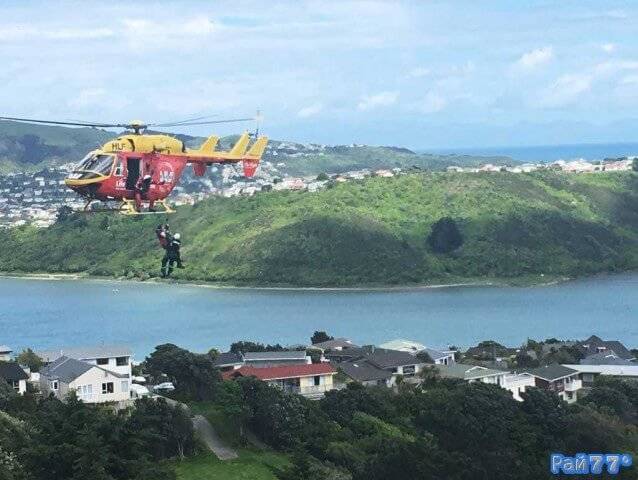 К спасению кота, забравшегося на дерево в Новой Зеландии подключили пожарных на вертолёте. (Видео)