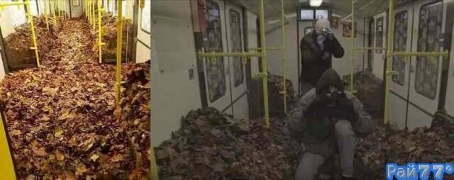 Молодые люди, создавшие креативную организацию TOY CREW решили привлечь к себе внимание и в ночь на 14 ноября заполнили вагоны электропоездов, принадлежащих транспортной компании BVG, опавшими листьями.