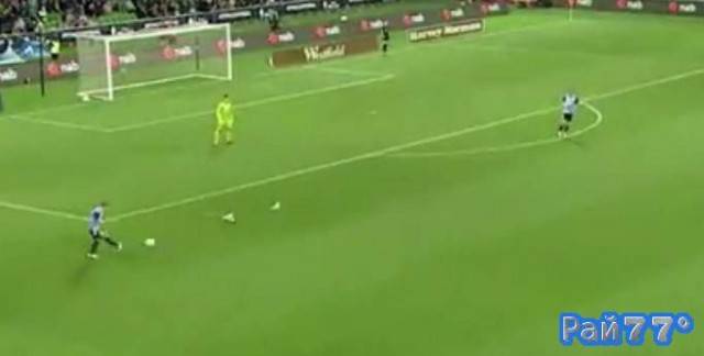 Чайка встала на пути мяча во время футбольного чемпионата в Австралии (Видео)