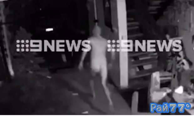 Голый австралиец прогнал четверых грабителей, забравшихся в его жилище (Видео)