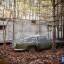 В американском лесу обнаружили бесхозный автомобиль Aston Martin Db4 стоимостью 500000$ 5