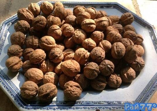 Сельский житель в Китае по незнанию на протяжении 25 лет колол орехи гранатой.