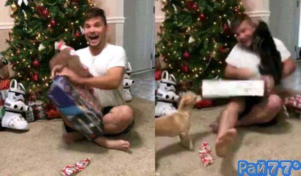 Кошка успокоила перевозбуждённого хозяина, получившего подарок на Рождество (Видео)