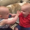 Видео с близнецами, не поделившими соски стало популярным в интернете