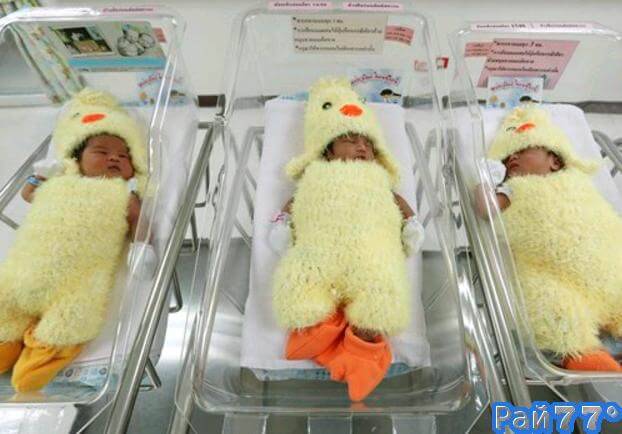 «Добро пожаловать в 2560 год !» Роддом в Бангкоке встретил всех новорожденных куриными костюмами.